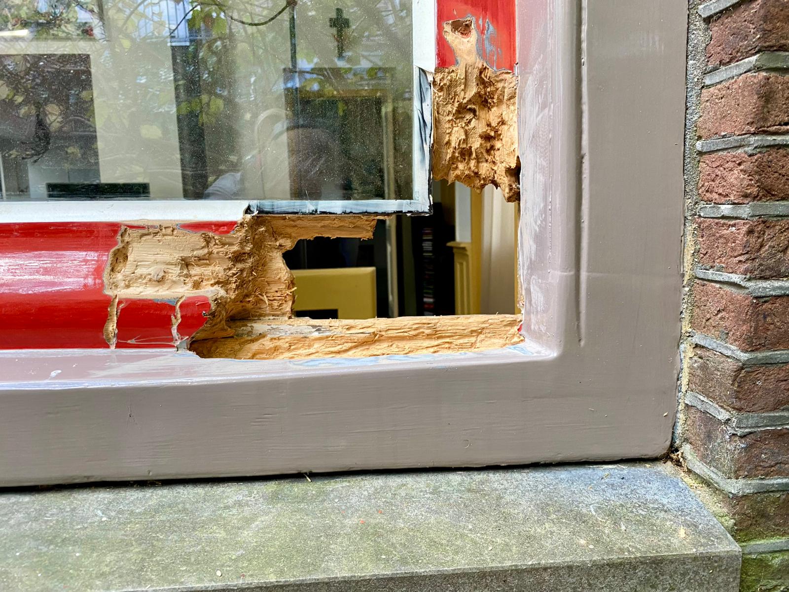 Project van Lilli Schilderwerken 9